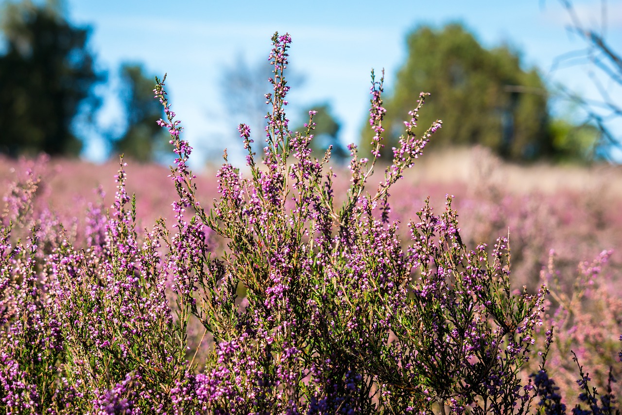 Naturschutzregeln